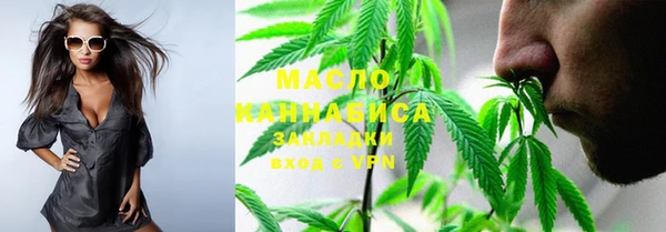 гидра Новозыбков