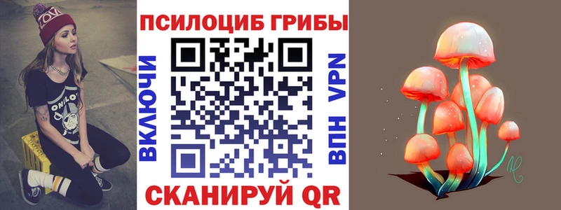 Галлюциногенные грибы Psilocybe  как найти наркотики  MEGA онион  Александровск 